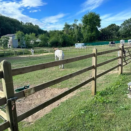 Cdc Stables *
